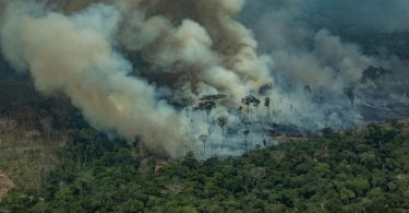 governo desmatamento Amazônia