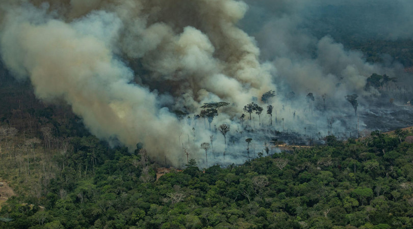governo desmatamento Amazônia