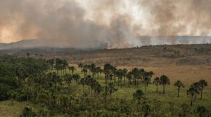 Amazônia e Cerrado queimadas