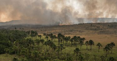 Amazônia e Cerrado queimadas