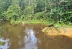 Amazônia saneamento