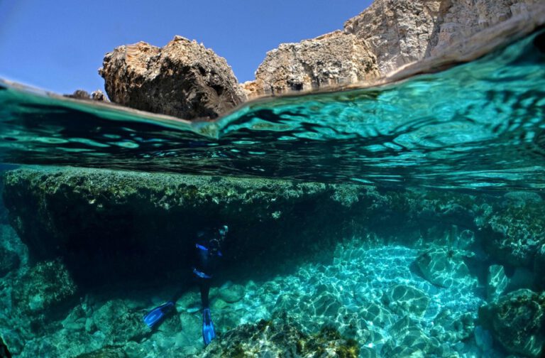 Dia Mundial dos Oceanos