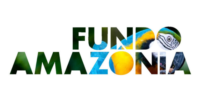 Fundo Amazônia