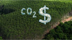 créditos de carbono
