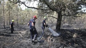 incêndios florestais Europa