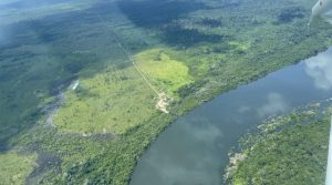 Amazônia estradas desmatamento