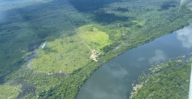 Amazônia estradas desmatamento