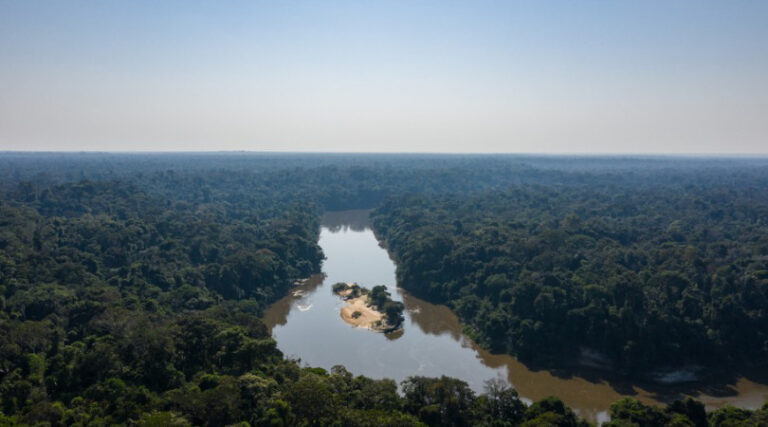 Brasil mercado de carbono paralizado