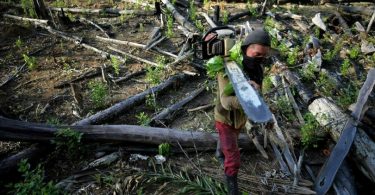 Colômbia desmatamento transição energética