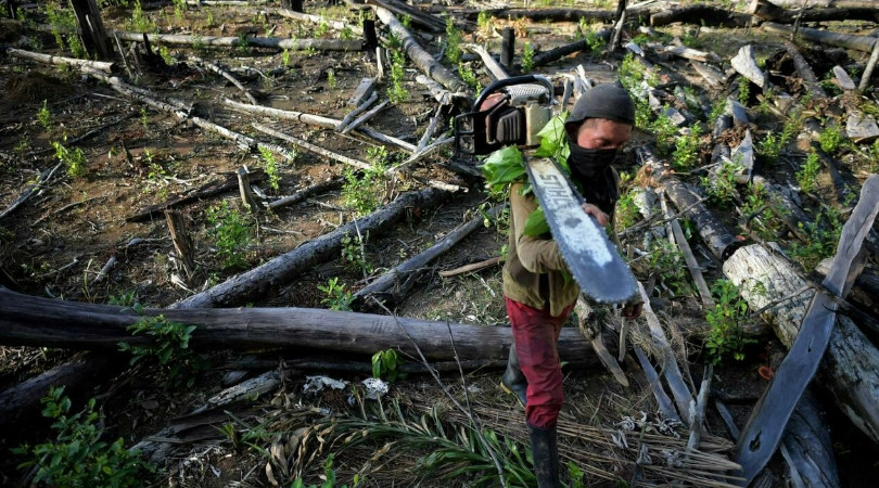 Colômbia desmatamento transição energética