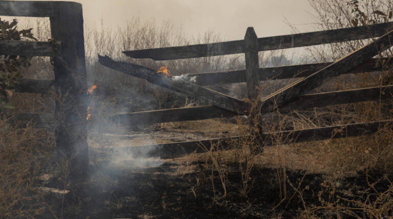 Dia do Fogo impedido