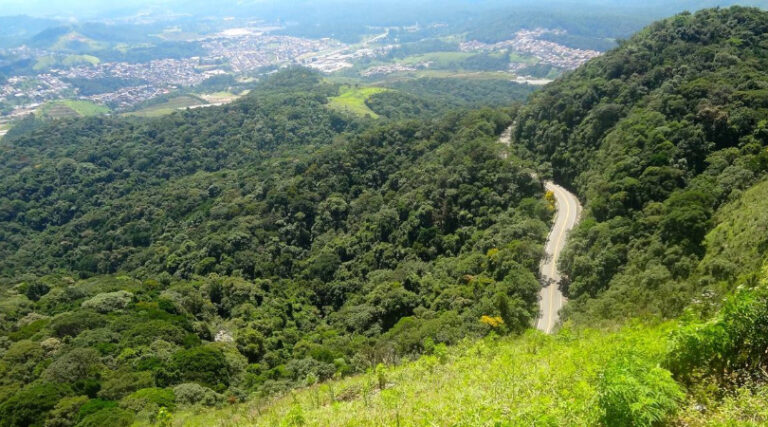 Mata Atlântica desmatamento