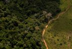 desmatamento Amazônia julho 2022.