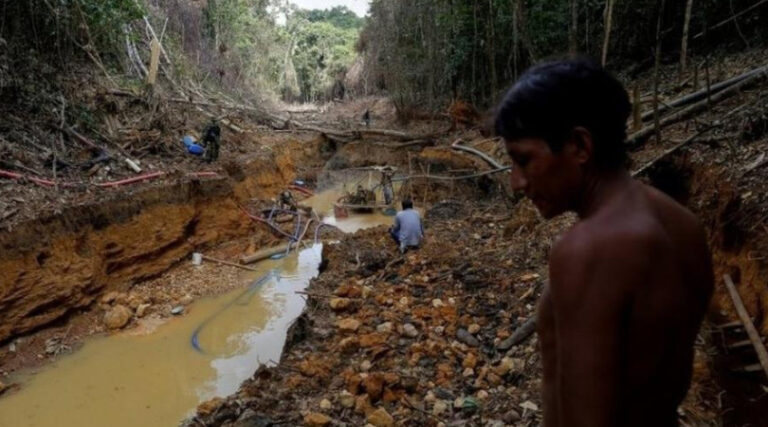 garimpo ilegal impunidade