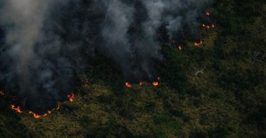 queimadas Amazônia 2022