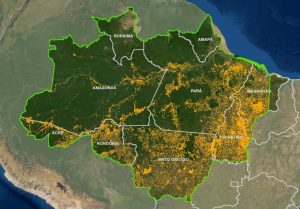 queimadas Amazônia Legal