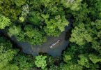 Amazônia consciência eleitor