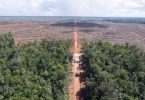 Brasil mineração desmatamento