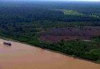 desmatamento Amazônia 2022