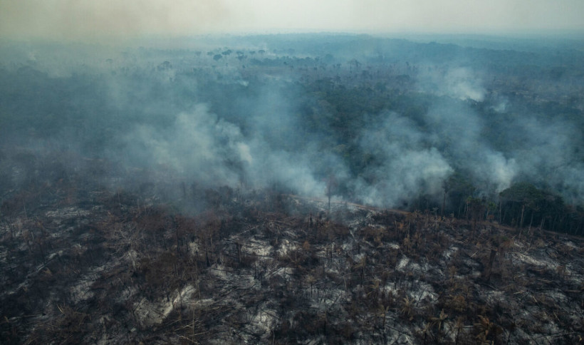 governo Bolsonaro desmonte ambiental