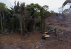 Bolsonaro desmatamento Amazônia