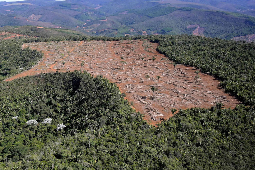Mata Atlântica desmatamento