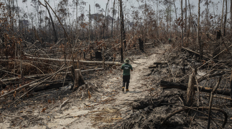 desmatamento Amazônia set 2022