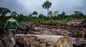 eleições multas ambientais