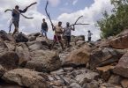 Belo Monte impactos ribeirinhhos