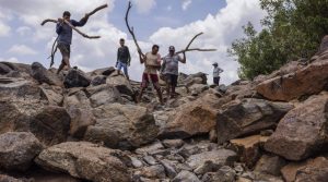Belo Monte impactos ribeirinhhos