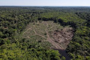 EUA desmatamento Amazônia