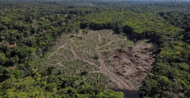 EUA desmatamento Amazônia