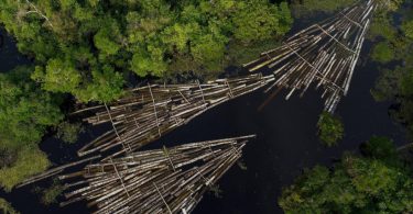 Fundo Amazônia Noruega pós-eleição