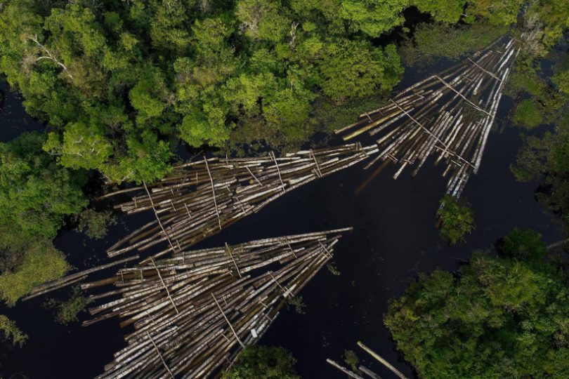 Fundo Amazônia Noruega pós-eleição