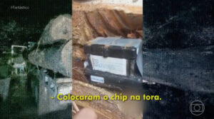 IBAMA madeira ilegal