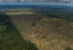 desmatamento Amazônia out 22