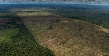 desmatamento Amazônia out 22