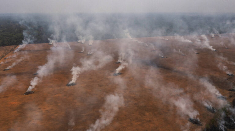 desmatamento outubro 2022