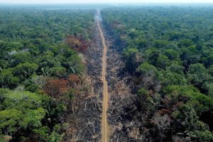 Brasil desmatamento 2022