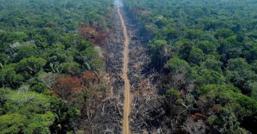 Brasil desmatamento 2022