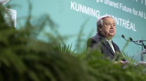 COP15 biodiversidade António Guterres