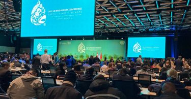 COP15 metas e financiamentos