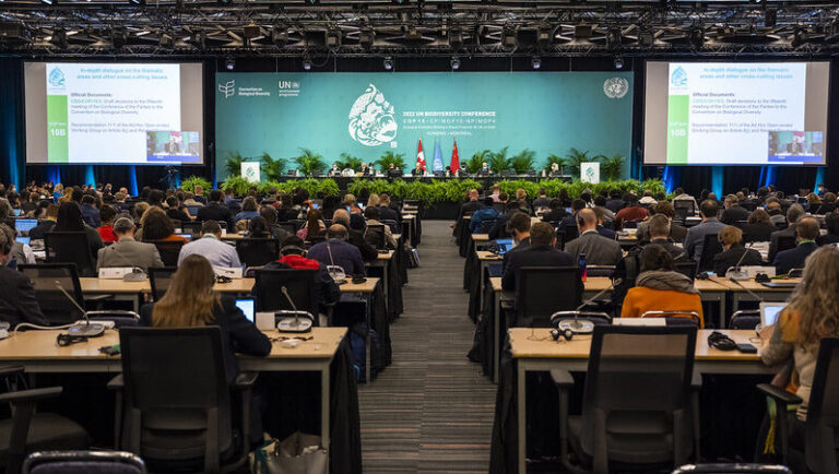 COP15 subsídios antiambientais