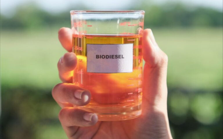 biodiesel