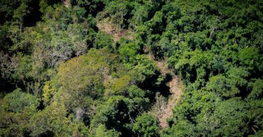 estrada garimpo ilegal Terra Yanomami