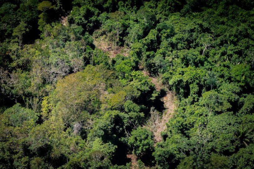 estrada garimpo ilegal Terra Yanomami