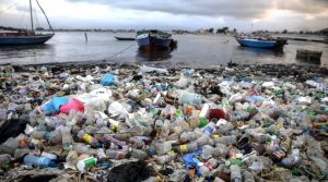 poluição por plásticos
