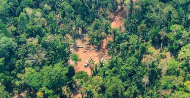 governo Lula desmatamento Amazônia