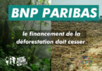 BNP Paribas carne desmatamento