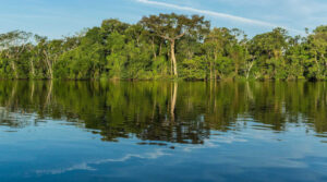 Brasil superfície de água
